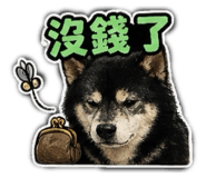 842670356