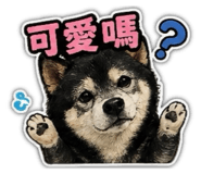 842670357