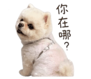 842670424