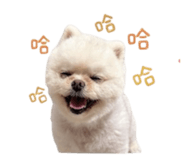 842670430