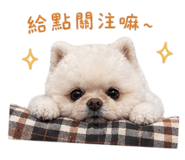 842670437