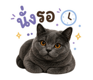 842670987