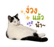 842671154