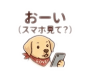 842671216