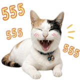 842671364