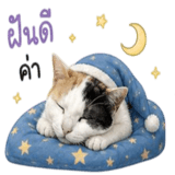 842671372