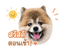 842671553