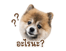 842671554