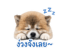 842671555