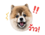 842671556