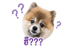 842671557