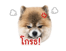 842671561