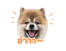 842671566