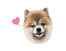 842671568