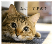 842672164