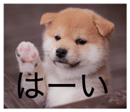 842672168