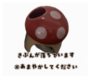 842672532