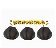 842672536