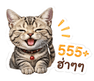 842672738
