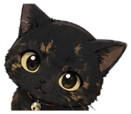 842672978