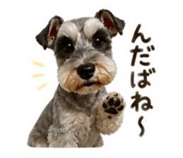 842673081