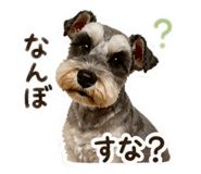 842673083