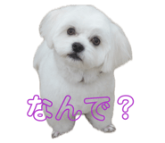 842673429