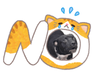 842673474