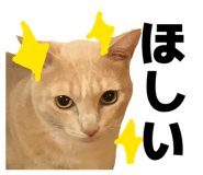 842673612