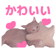 842673613