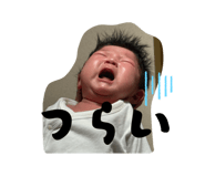 842673771
