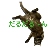 842673841
