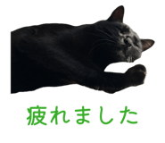 842673846