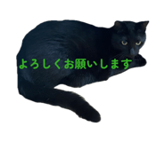 842673849