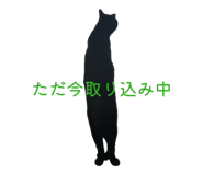 842673850