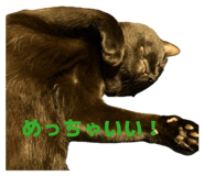 842673853