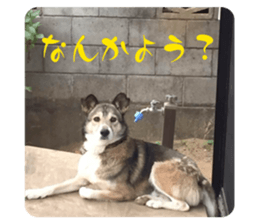 842673874