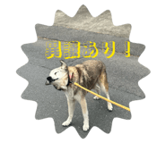 842673879