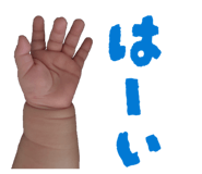 842675013