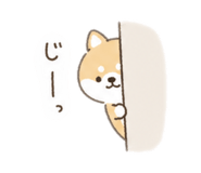 842675111