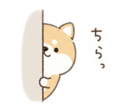 842675112