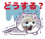 842675148