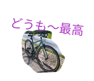 842675448