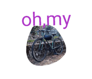 842675451