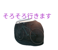 842675462