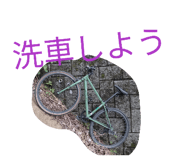 842675464