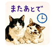 842676200