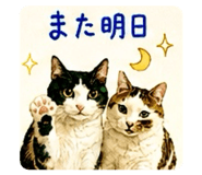 842676231