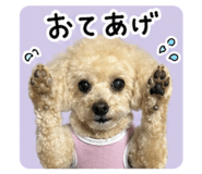 842676288