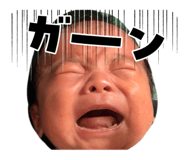 842676612